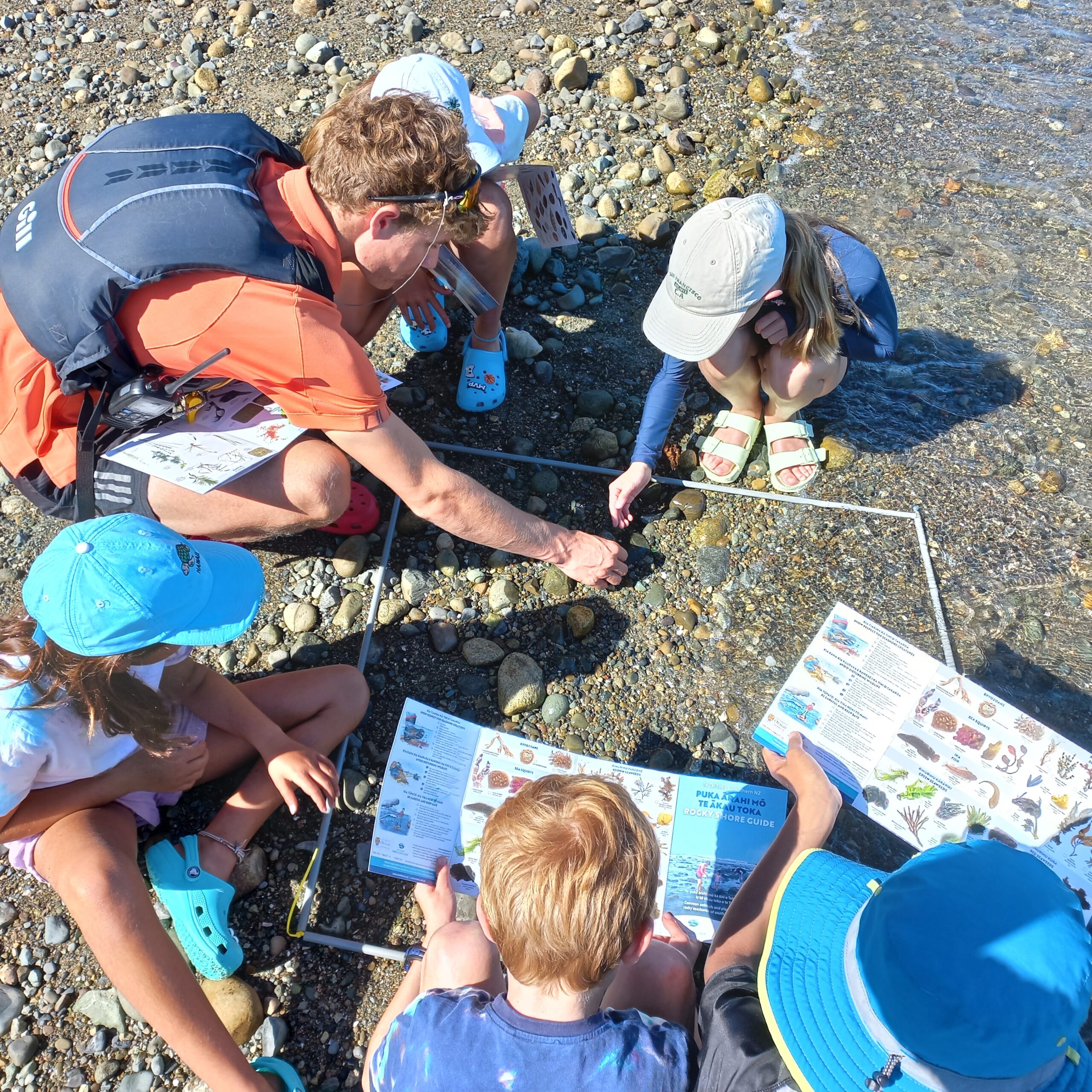 Children turning over rocks to see what lives underneath on a rocky seashore.